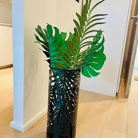 Beautiful One Bedroom In Center W Terrace & Parking *