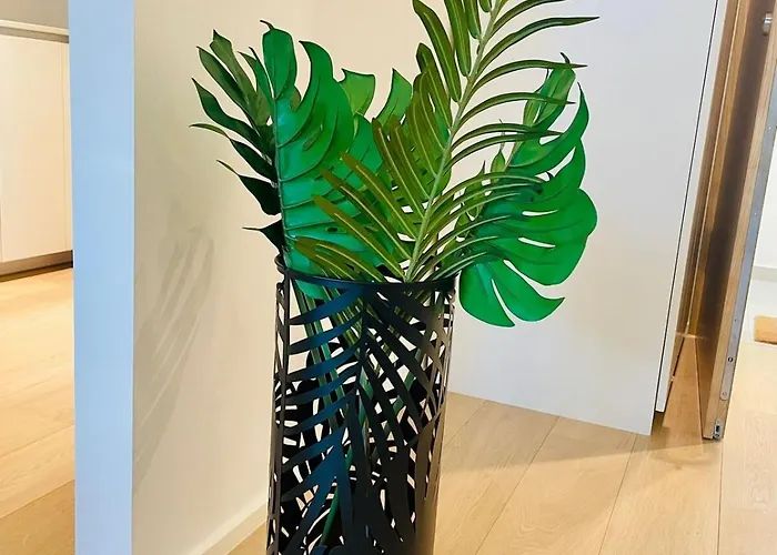 Beautiful One Bedroom In Center W Terrace & Parking *